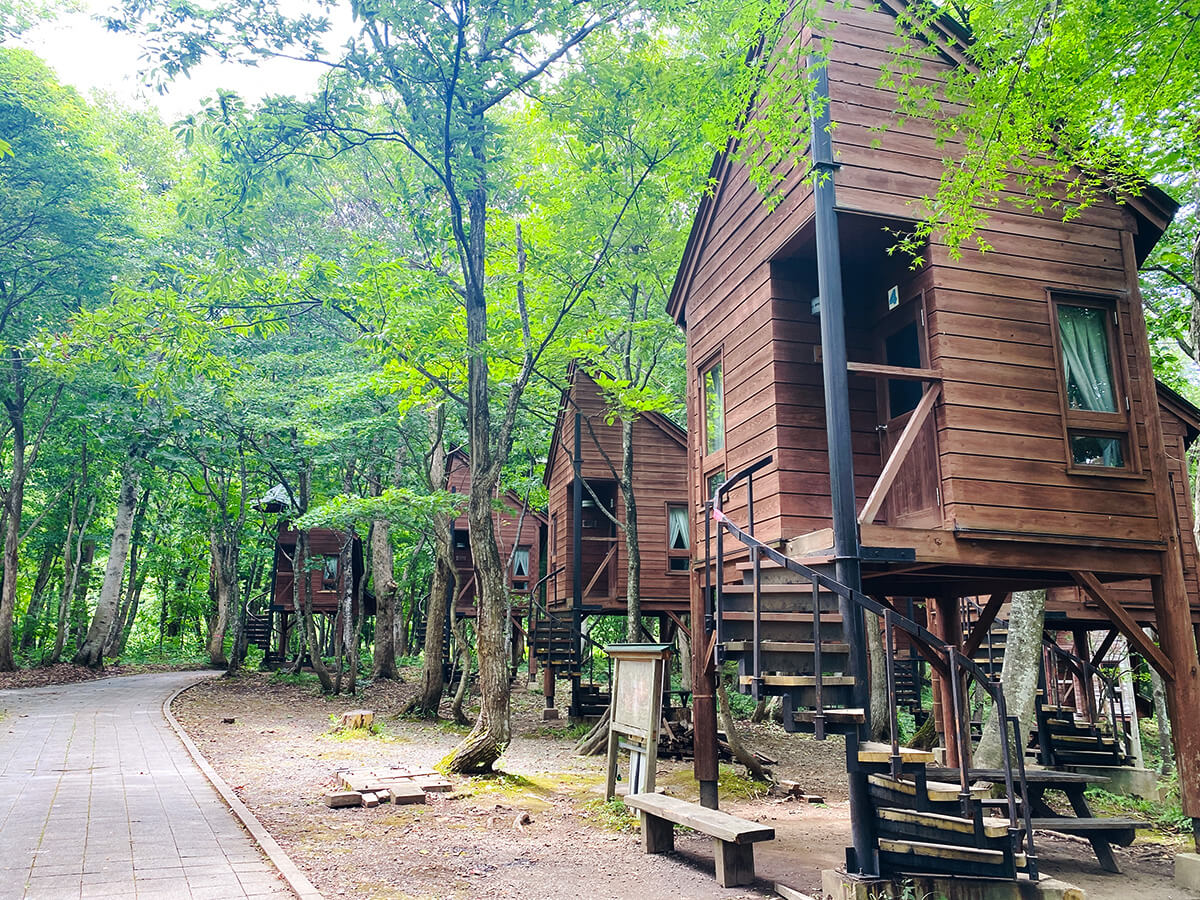 ツリーハウスの外観